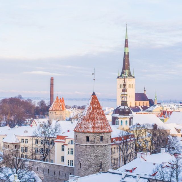 https://mycareer.edu.np/wp-content/uploads/2025/04/estonia-1024x1024-1-640x640.jpg
